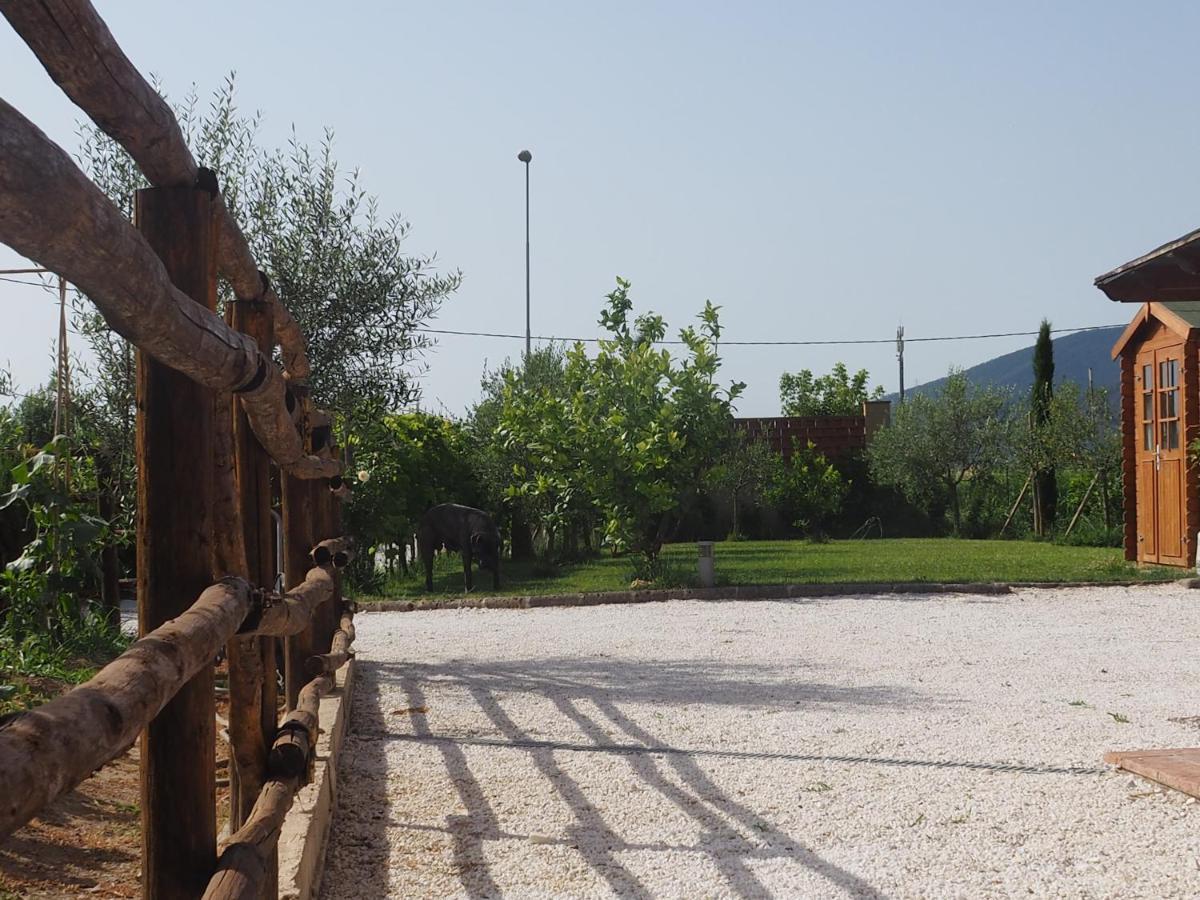La Casa Di Samarcanda Uliveto Terme Экстерьер фото